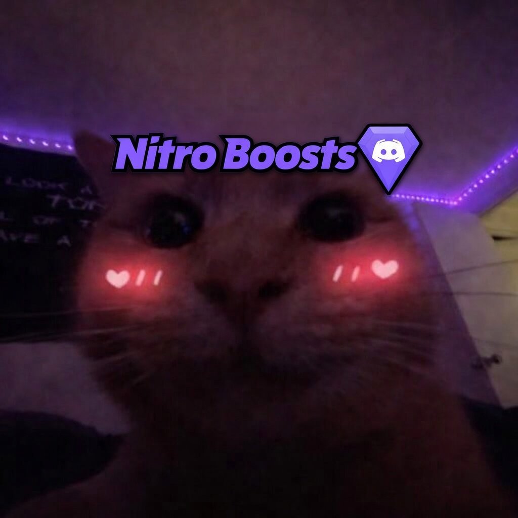 Discord Server Boosts